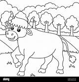 Ox Coloring Page For Kids Stock Vector Image & Art  Alamy sketch template