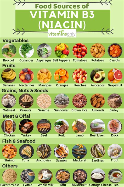 Vitamin B3 Foods, Sources Of Vitamin B3, Vitamin B3 Niacin, Health Facts, Health Diet, Healthy ...