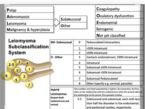 Abnormal Uterine Bleeding Causes Treatment And Symptoms – NBKomputer