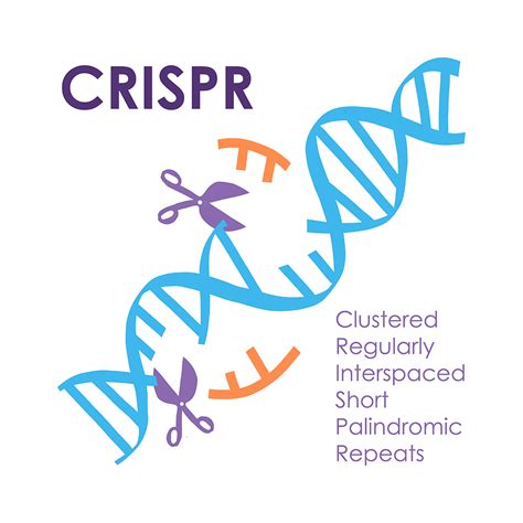 CRISPR - Cómo puede cambiar las cosas | Saludiario