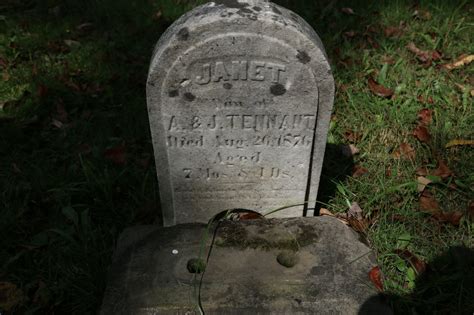 A Visit to the Old Coney Cemetery in Lonaconing, Allegany County, Maryland - Hanna History. com