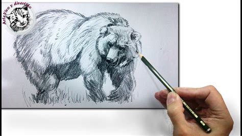 Como Dibujar Un Oso Realista | Images and Photos finder