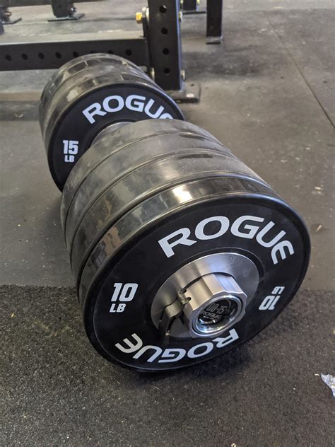 Rogue loadable dumbbells with bumpers loaded to 125 lbs. The rogue site says you can only fit 2 ...