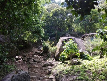 Edakkal Caves | Wayanad - What to Expect | Timings | Tips - Trip Ideas ...