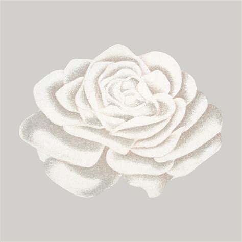 White rose illustration, vintage flower | Premium Vector Illustration - rawpixel