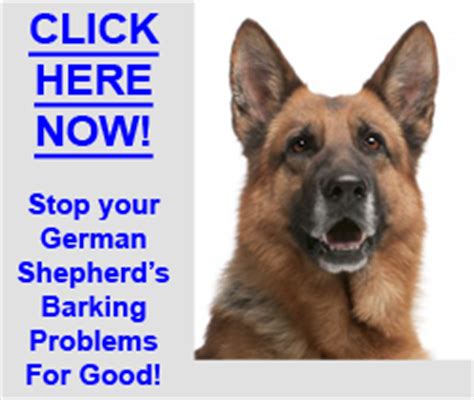 Stop German Shepherd Barking | German Shepherd Training