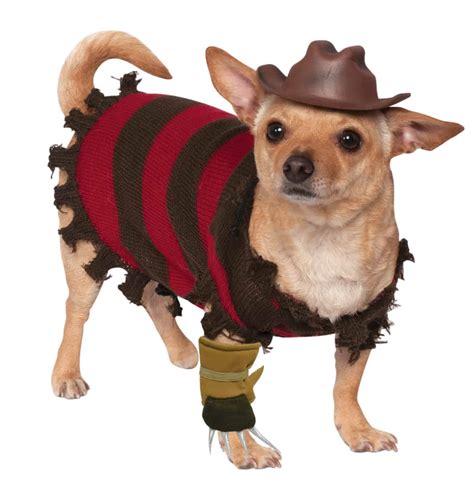 Freddy Krueger Dog & Cat Pet Costume - Pet Costume Center