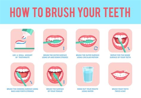 648 Brush Your Teeth Poster Royalty-Free Images, Stock Photos & Pictures | Shutterstock