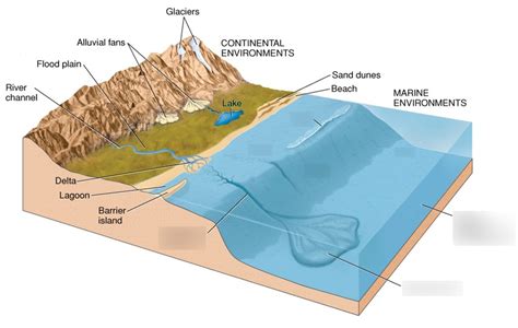 Deposition of Sedimentary Rocks Diagram | Quizlet