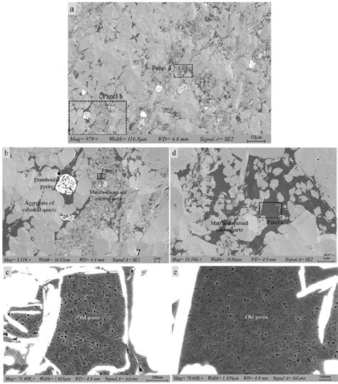 (a) SEM images showing the spatial distribution of euhedral quartz and... | Download Scientific ...