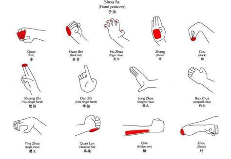 Kung Fu hand postures | Self defense martial arts, Kung fu martial arts, Martial arts workout