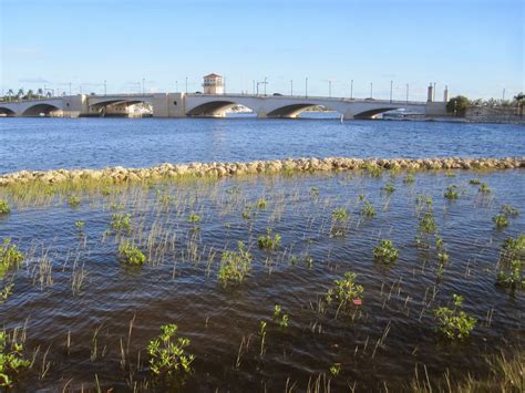 Lake Worth Beach City Limits: Flood-control water dumping hurting Lake ...