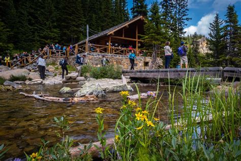 How to Hike The Lake Agnes Tea House Trail (Lake Louise Tea House)