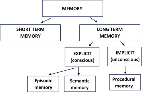 Memory – Type of Long Term Memory – The Tutor Academy