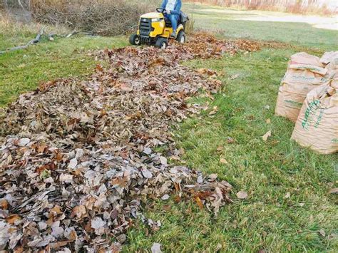 Benefits of Using a Mulching Lawn Mower