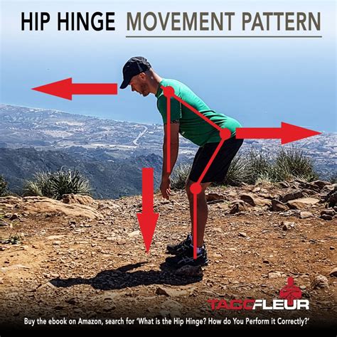 True and clear definition of the Squat and Hip Hinge exercise