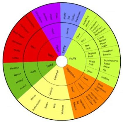 A Quick Guide to Tasting Chocolate