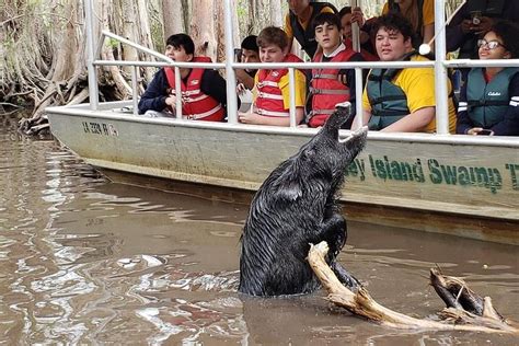 Private Tour of the Honey Island Swamp 2023 | Cool New Orleans