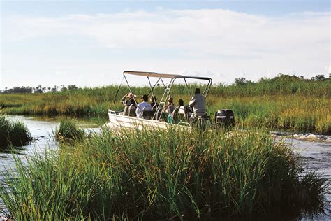 Out of Africa: Five-Star Safari Experiences You’ll Remember Forever