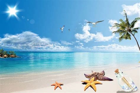 Tổng hợp hình ảnh biển đẹp nhất | Beach scenery, Scenery, Cheap canvas wall art