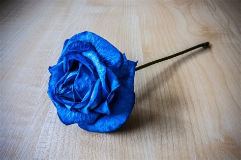 Why Are Blue Roses Special? Unveiling Their Unique Symbolism - Petal Republic