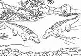 Coloring Pages Of Crocodiles sketch template