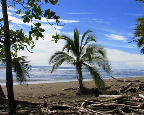 Quepos 2021: Best of Quepos, Costa Rica Tourism - Tripadvisor