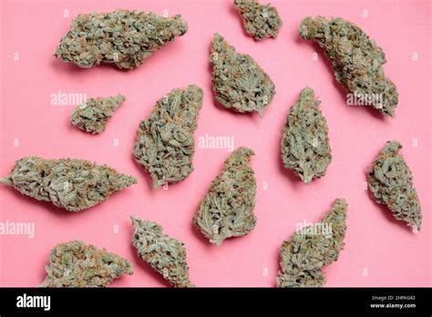 Marijuana buds closeup. Medicinal cannabis flowering on rose background, isolated. Hemp ...