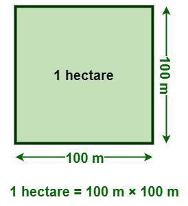 What is Hectare? - Conversion Table, Area of Land, and Examples