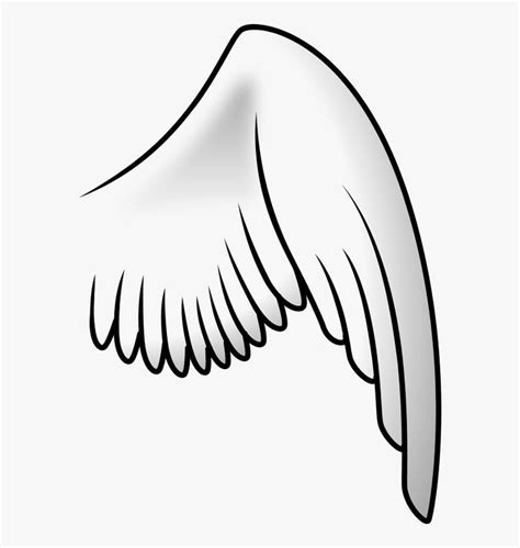 Transparent Angel Wings Vector Png - Bird Wing Clip Art, Png Download is free transparent png ...