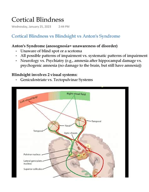 Cortical Blindness - systematic patterns of impairment Neurology vs. Psychiatry (e., amnesia ...