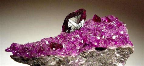 Jet Value, Price, and Jewelry Information - International Gem Society