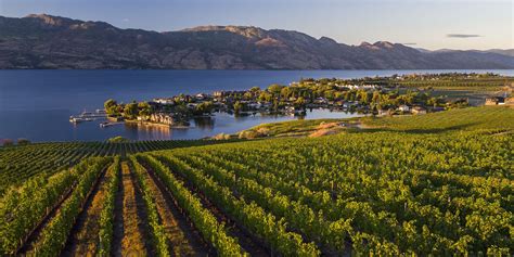 Fancy a Silky Pinot? Pour a Glass at These Kelowna Wineries | Kelowna wineries, Wine trail, Gate way