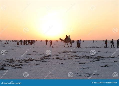 Sunset at Rann of Kutch Festival - Rann Utsav - White Desert - Gujarat ...