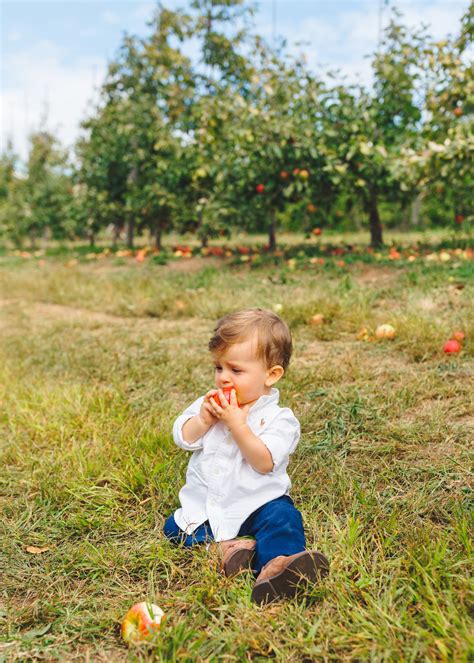 APPLE PICKING AT LYMAN ORCHARDS | Design Darling