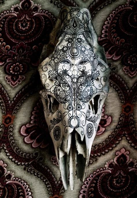 A friend of mine likes to paint on animal skulls she finds in the woods. - Imgur | Deer skull ...