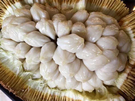 Marang Fruit - Twin Fruit