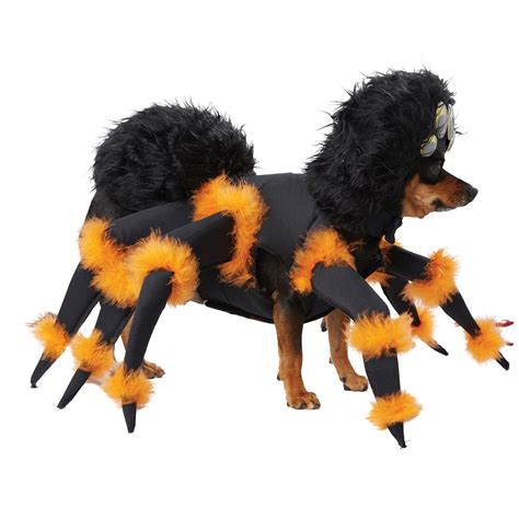 Spider Pup Dog Costume with Same Day Shipping | BaxterBoo