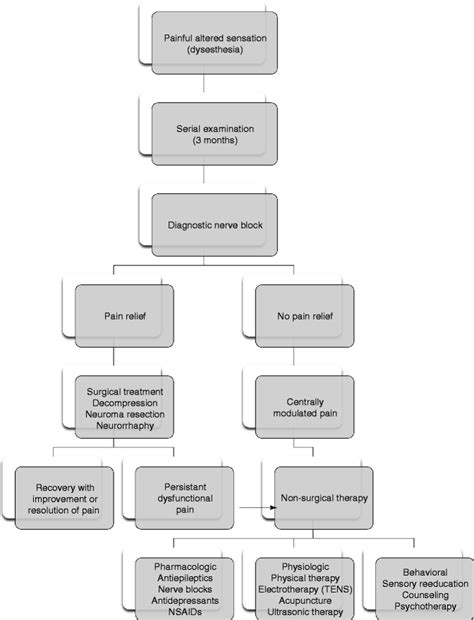 Guidelines for Diagnosis and Treatment of Trigeminal Nerve Injuries ...