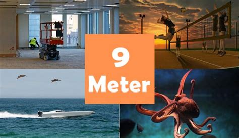 8 Things That Are About 9 Meters (m) Long