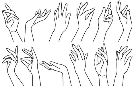 Premium Vector | Woman hands line. outline drawn female different position elegant beauty hands ...