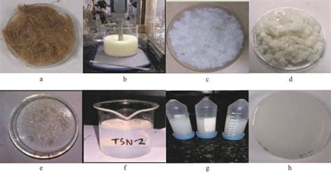 Production of nanocellulose from BNHF (a. BNHF, b. Cellulose... | Download Scientific Diagram