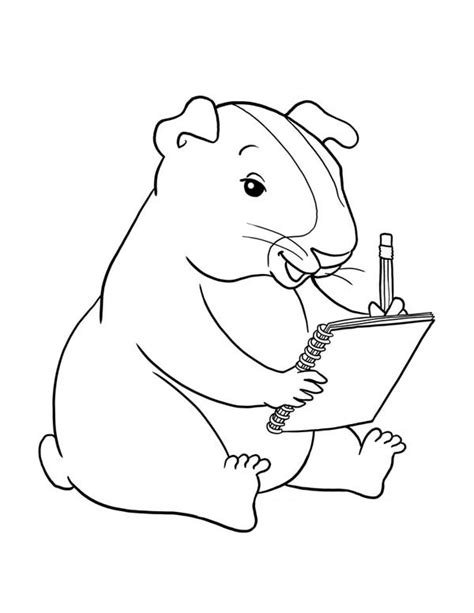 Guinea Pig: Coloring Pages & Books - 100% FREE and printable!