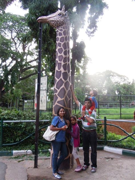 Mysore Zoo And Its Animals - Tripoto