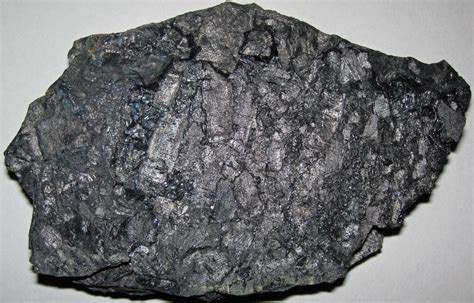 Fossil charcoal in bituminous coal (Pikeville Formation, M… | Flickr