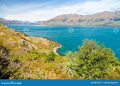 Lake Wanaka stock image. Image of summer, nature, scenics - 24610371