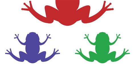 Frog Symbolism: What Do Frogs Represent? - SnakeTracks.com