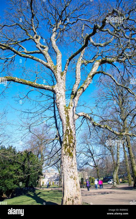 Buxton Pavilion Gardens Stock Photo - Alamy