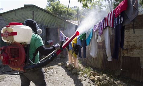 Vaccine For Dengue Fever Shows A Glimmer Of Hope : Shots - Health News : NPR