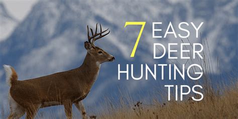 7 Insanely Simple Deer Hunting Tips - How to Hunt Deer